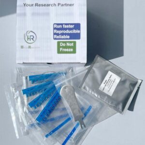 Pre-Casted Protein Gel (HG-Page™) (4-20%, 12 Well)