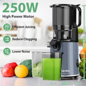 Aeitto Juicer Machines,Slow Juicer, 5.3" Large Feed Chute, 250W Whole Fruit juicer, 1.7L Large Capacity Juice Extractor for Vegetable and Fruit, High Juice Yield, Easy to Clean, Grey