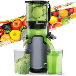 aeitto juicer machines,slow juicer, 5.3" large feed chute, 250w whole fruit juicer, 1.7l large capacity juice extractor for vegetable and fruit, high juice yield, easy to clean, grey