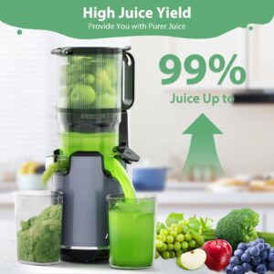 Aeitto Juicer Machines,Slow Juicer, 5.3" Large Feed Chute, 250W Whole Fruit juicer, 1.7L Large Capacity Juice Extractor for Vegetable and Fruit, High Juice Yield, Easy to Clean, Grey