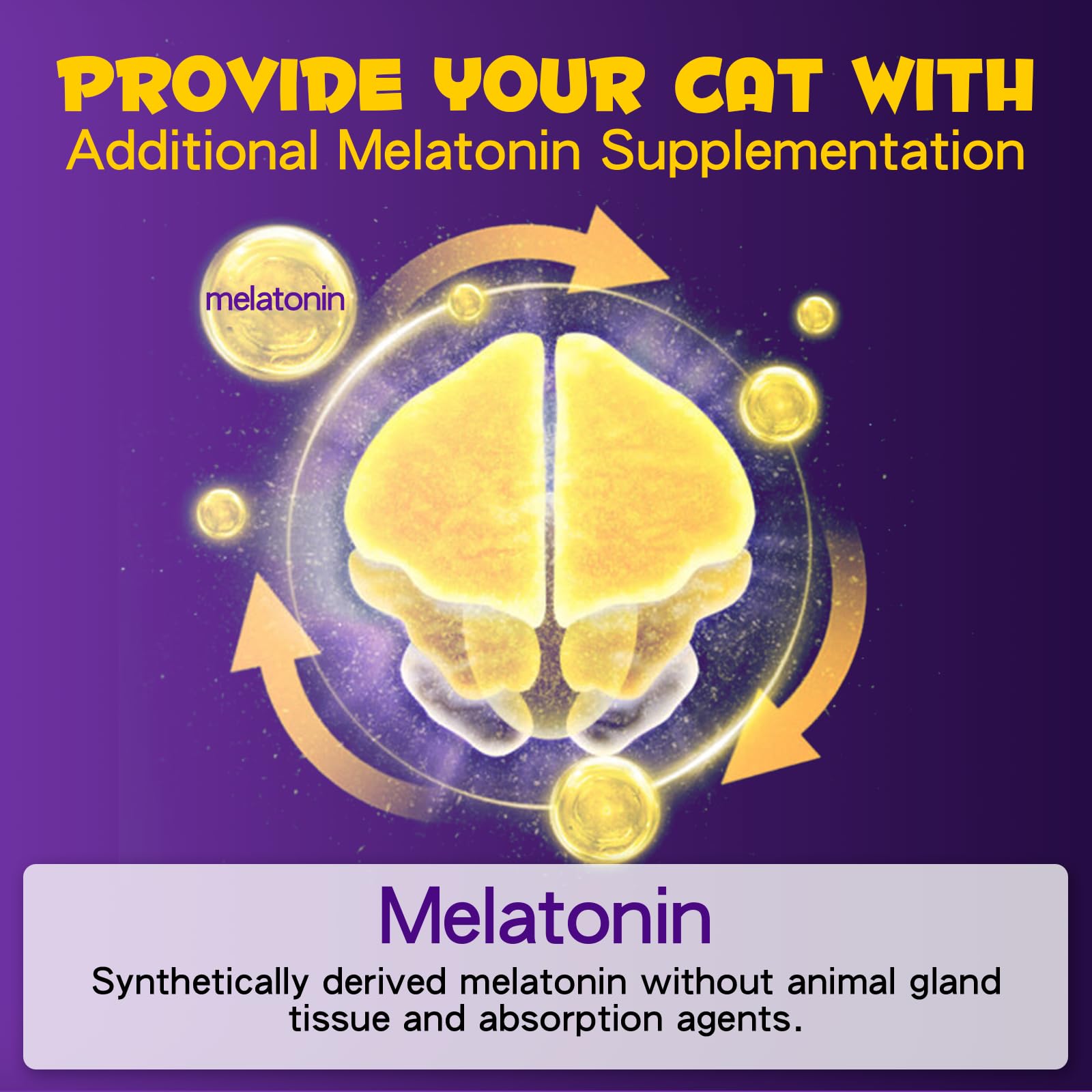 Cat Melatonin, 60ml Melatonin for Cats Helps to Support Restful Sleep for Your Cat - Cat Sleep Aid, Anxiety Relief & Promote Relaxation Bacon Flavor