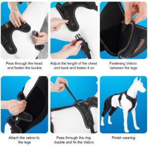 CHAMIN Dog Leg Braces for Hind Leg, Dog Acl Knee Brace Support for Cruciate Ligament Injury，Osteoarthritis, Luxating Patella, Muscle Sore,et(Extra Large)