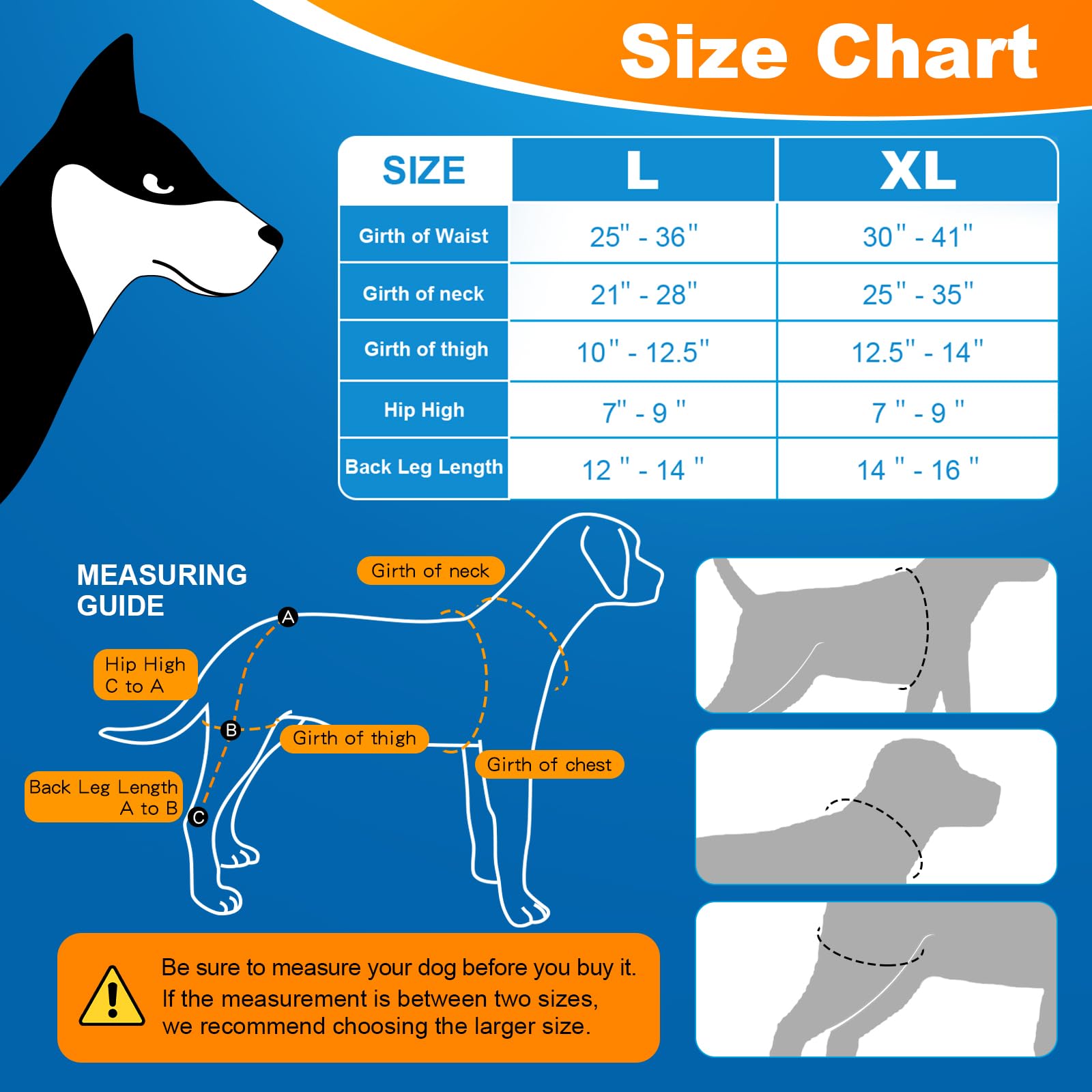 CHAMIN Dog Leg Braces for Hind Leg, Dog Acl Knee Brace Support for Cruciate Ligament Injury，Osteoarthritis, Luxating Patella, Muscle Sore,et(Extra Large)