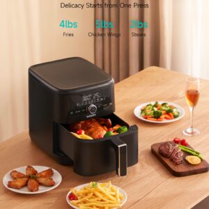 HiCOZY 10-in-1 Air Fryer, 6QT Family Size, Flash Crisp Technology, 400F for Hot & Crispy Results in Minutes, Roast, Reheat, Dehydrate & More, Black