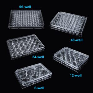 LVDALAB 12 Well Bacterial Culture Dishes Tissue Culture Dish Polystyrene Petri Dish with Lids Educational Petri Plates for Lab Science Experiment, Pack of 10,Sterile