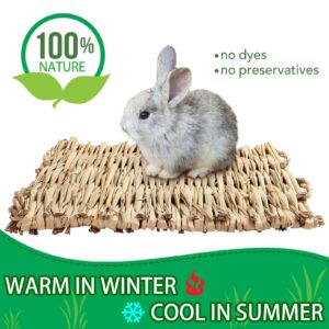 COTELEEC 2 PCS Rabbit Grass Mats, Natural Straw Hay Woven Rabbit Bed Cage Mats Pet Handmade Bedding, Sleeping Chewing Nesting and Toys for Hamster Bunny Chinchilla Bird and Other Small Animal (2Pcs)