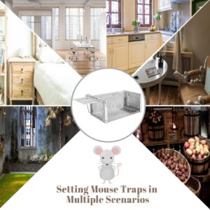 Humane Rat Trap, Chipmunk Rodent Trap That Work for Indoor and Outdoor Small Animal - Mouse Voles Hamsters Live Cage Catch and Release (Silvery)