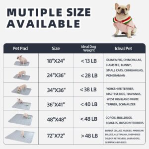 Reusable Pet Pee Pads, AZOOLOI 4 Pack 18"x24" Ultra-Absorbent Washable Puppy Pads with Non-Slip Grip and Cute Print, Leak-Proof Dog Pee Pad for Training, Whelping, Housebreaking, Incontinence, Playpen