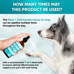 Wound Care For Dogs with Colloidal Silver | Dog Wound Spray | Dog Wound Care and Skin Support | + Chlorhexidine | Bites, Scratches, Irritations | Wound Spray for Dogs is Great With A Dog Cone | 4 Oz