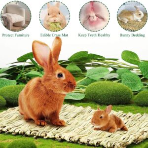 COTELEEC 2 PCS Rabbit Grass Mats, Natural Straw Hay Woven Rabbit Bed Cage Mats Pet Handmade Bedding, Sleeping Chewing Nesting and Toys for Hamster Bunny Chinchilla Bird and Other Small Animal (2Pcs)