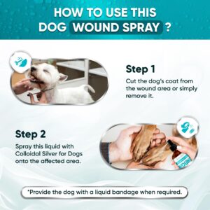 Wound Care For Dogs with Colloidal Silver | Dog Wound Spray | Dog Wound Care and Skin Support | + Chlorhexidine | Bites, Scratches, Irritations | Wound Spray for Dogs is Great With A Dog Cone | 4 Oz