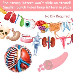 4pcs Human Anatomy Body Part Theme Banners Human Anatomy Party Decorations Body Part Party Supplies for Doctors Birthday Party Nurse Graduation Party Supplies