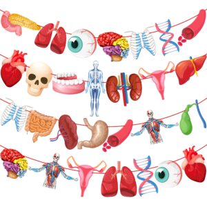 4pcs human anatomy body part theme banners human anatomy party decorations body part party supplies for doctors birthday party nurse graduation party supplies