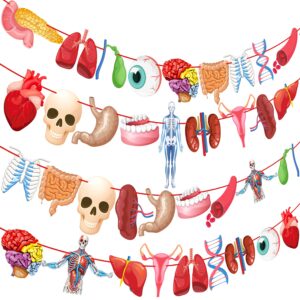 4pcs Human Anatomy Body Part Theme Banners Human Anatomy Party Decorations Body Part Party Supplies for Doctors Birthday Party Nurse Graduation Party Supplies