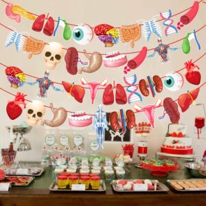 4pcs Human Anatomy Body Part Theme Banners Human Anatomy Party Decorations Body Part Party Supplies for Doctors Birthday Party Nurse Graduation Party Supplies