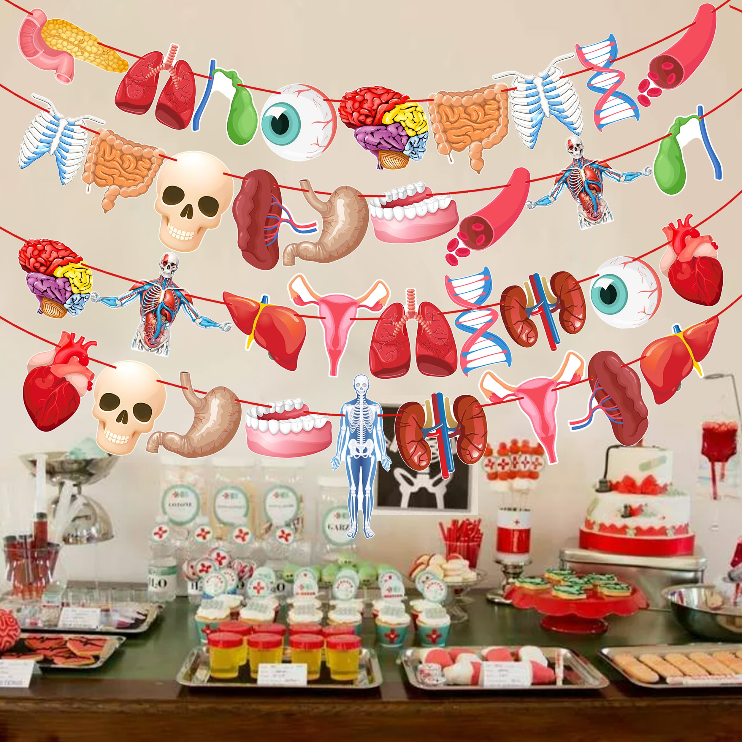 4pcs Human Anatomy Body Part Theme Banners Human Anatomy Party Decorations Body Part Party Supplies for Doctors Birthday Party Nurse Graduation Party Supplies