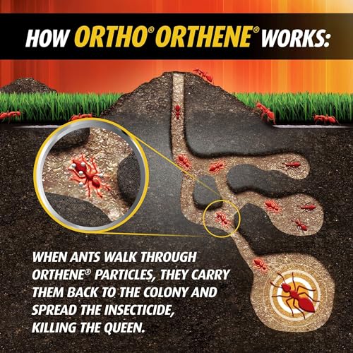 Ortho Orthene Fire Ant Killer1, Kills Queen, Destroys up to 162 Mounds, Begins Working in 60 Minutes, 12 oz., 3-Pack