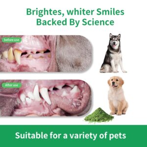 Dog Teeth Cleaning Powder, Pet Dental Care Powder for Dogs & Cats Breath Freshener Powder with Probiotics for Bad Breath, Plaque, Tartar Remover, Dog & Cat Dental Care Supplies - No Brushing Needed