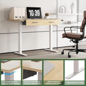 Our Modern Space 2-Drawer Height Adjustable 45" Electric Standing Desk - Upgraded Ultra Durable Home Office Large Rectangular Computer Table or Laptop Sit Stand Workstation - Maple