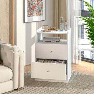 Aenuert Nightstand with Two Drawers White Bedside Table Chest of Drawers with Opening Storage Rack,3 Tiers Modern Night Table for Bedroom Small Spaces Storage Furniture