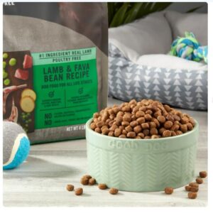 Pure Balance Lamb & Fava Bean Recipe Dry Dog Food, Grain-Free, 11 lbs