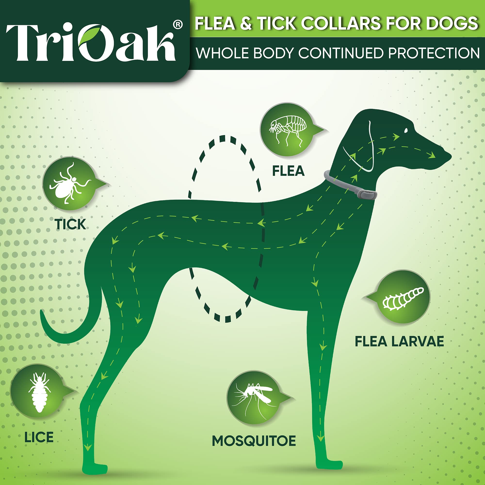 TriOak Flea Collar for Dogs: Advanced Dog Flea Collar - Tick Collar for Dogs - Flea and Tick Collar for Dogs - Dog Flea and Tick Collar - Dog Tick Collar, Color: Gray, 4 Pack