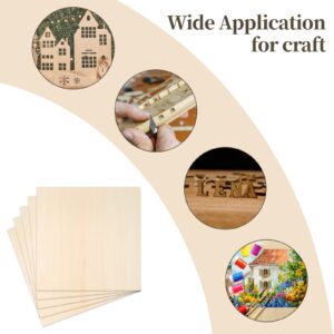 Balsa Wood Sheet, 5 Pack Plywood Sheets, Basswood Sheets 12 X 12 X 1/16 Inch, Unfinished Craft Wood, Thin Wood Boards for Laser Cutting, Engraving, Wood Burning, Crafts