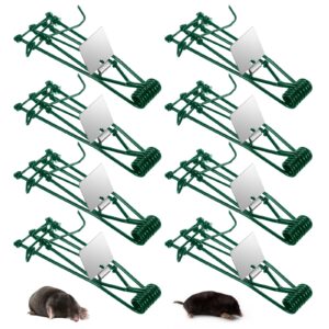 8 pack mole trap gopher trap metal tactical rat vole traps outdoor reusable gopher killer mole traps that kill best, keep moles out of yard lawn garden, green