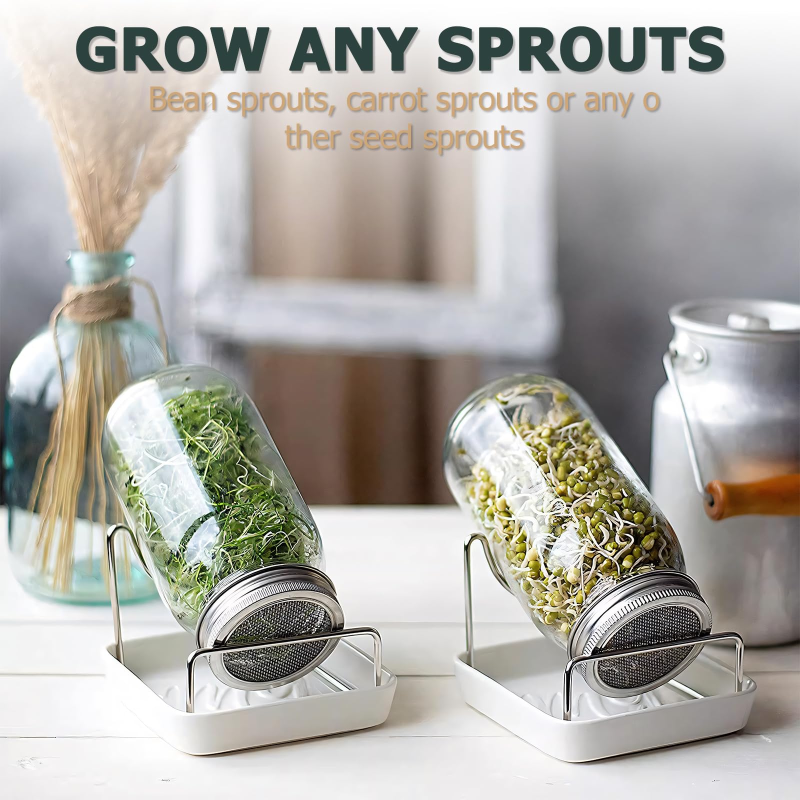 6 Pack Seed Sprouting Jar Lids: for 3.4"(86mm) Regular Mouth Mason Jars Fresh Sprouts at Home | Strainer Screen for Canning Jars | 304 Stainless Steel Lid for Growing Broccoli, Alfalfa, Beans & More