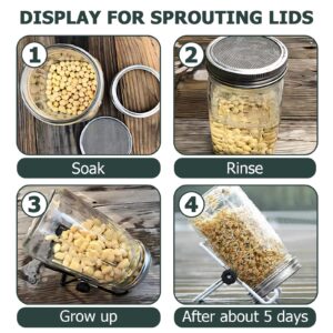 6 Pack Seed Sprouting Jar Lids: for 3.4"(86mm) Regular Mouth Mason Jars Fresh Sprouts at Home | Strainer Screen for Canning Jars | 304 Stainless Steel Lid for Growing Broccoli, Alfalfa, Beans & More