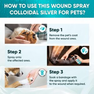 Silver Pet Wound Spray | Dog Wound Spray | Cat Wound Spray | Horse & Chicken Wound Spray + Chlorhexidine | Cat & Dog Itch Spray | Wound Spray for Cats | Wound Spray for Dogs, Cats, Horses | 4 oz