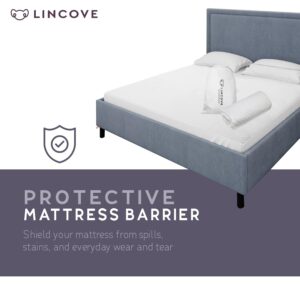 Lincove Quilted Fitted Mattress Protector, Queen – Elastic Mattress Protector – Bed Topper Covers Up to 16 Inches Deep, 100% Cotton, Breathable Braided Texture, Machine Washable & Dryer Safe