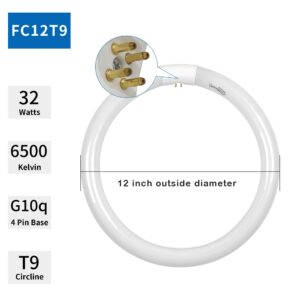 FC8T9 22W and FC12T9 32W Circular Light Bulb, Daylight 6500K Set, Round Repalement Bulbs, 8 Inch 22 Watts and 12 Inch 32 Watts Circline Kitchen and Bath Fluorescent Lamp, G10q 4 Pin Base, 2 Pack