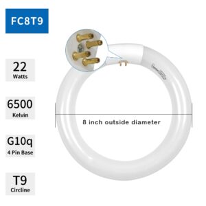 FC8T9 22W and FC12T9 32W Circular Light Bulb, Daylight 6500K Set, Round Repalement Bulbs, 8 Inch 22 Watts and 12 Inch 32 Watts Circline Kitchen and Bath Fluorescent Lamp, G10q 4 Pin Base, 2 Pack