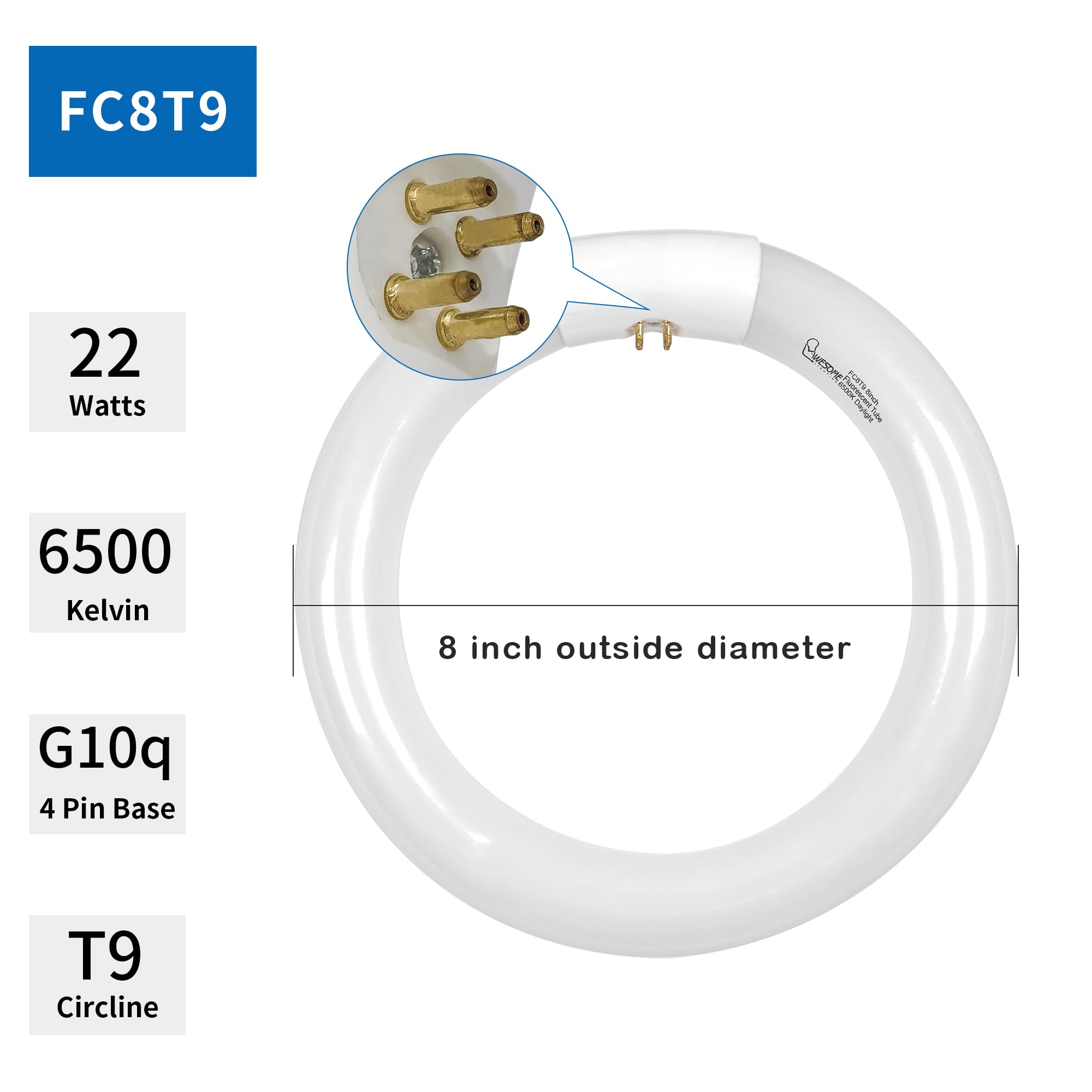 FC8T9 22W and FC12T9 32W Circular Light Bulb, Daylight 6500K Set, Round Repalement Bulbs, 8 Inch 22 Watts and 12 Inch 32 Watts Circline Kitchen and Bath Fluorescent Lamp, G10q 4 Pin Base, 2 Pack