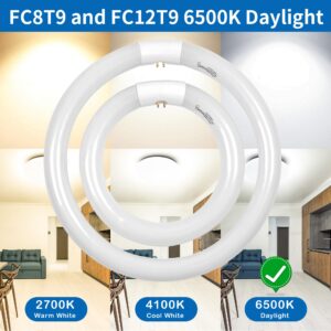 FC8T9 22W and FC12T9 32W Circular Light Bulb, Daylight 6500K Set, Round Repalement Bulbs, 8 Inch 22 Watts and 12 Inch 32 Watts Circline Kitchen and Bath Fluorescent Lamp, G10q 4 Pin Base, 2 Pack