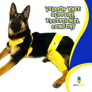 PET’SBARREL Dog Knee Brace for Torn ACL Hind Leg Problems - Support and Relief for Rear Limb Health. Lick Sleeve for Dogs Rear Leg. Dog Leg Braces for Back Leg. ACL Brace for Dogs Rear Leg.