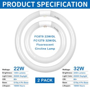 FC8T9 22W and FC12T9 32W Circular Light Bulb, Daylight 6500K Set, Round Repalement Bulbs, 8 Inch 22 Watts and 12 Inch 32 Watts Circline Kitchen and Bath Fluorescent Lamp, G10q 4 Pin Base, 2 Pack