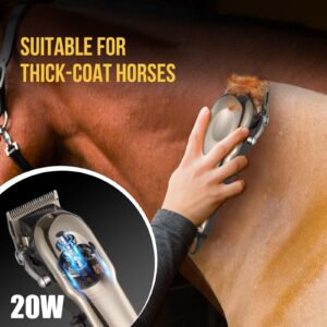 Ciphuoly Horse Clippers Cordless Quiet, Professional Horse Care Clippers with 4 Guide Guards,Electric Rechargeable Grooming Kit for Horse,Powerful Livestock Grooming Clipper