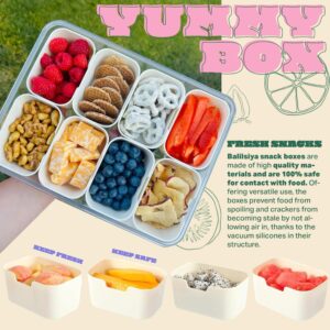 Snackle Box Container, Divided Serving Tray With Lid for Snack, Fruit Storage Containers for Fridge, You Can Use Snack Containers for Charcuterie - Fruit Tray for Picnic, 8 Compartment Snack Box