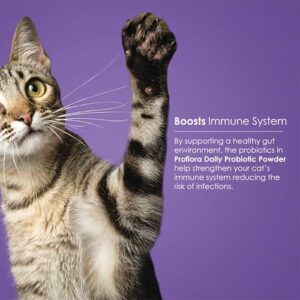 Proflora Probiotics for Cats-Complete Gut Health & Immune Support. Easy to Use Digestive Multi-Strain Probiotics. Easier Diet Transitions, Healthier Skin & Coat & Helps Treat Diarrhea. 30 Packets.