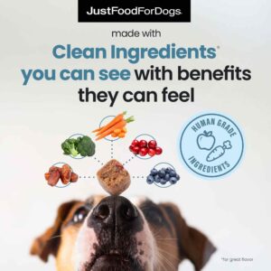 JustFoodForDogs Calming Supplement for Dogs Soft Chew to Support Stress and Anxiety, Melatonin, Relaxation Aid, Human-Grade Ingredients - 45 Count