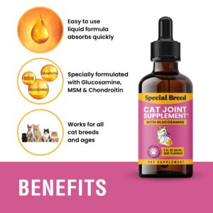 Special Breed Cat Joint Supplement, Liquid Glucosamine with Chondroitin for Cats, Feline Hip and Joint Pain Relief, 2 oz