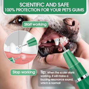 ofikpaloe Dog Teeth Cleaning Kit with Pet Oral Spray, Dog Dental Care-Plaque Remover for Teeth, Cleans and Relieves Tooth Sensitivity, Universal for Dogs & Cats, Dark Green