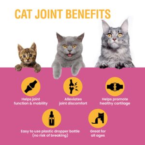 Special Breed Cat Joint Supplement, Liquid Glucosamine with Chondroitin for Cats, Feline Hip and Joint Pain Relief, 2 oz