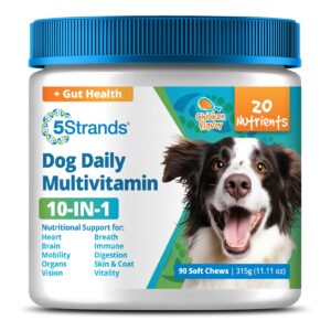 5strands dog multivitamin chews, 10-in-1, vitamins & postbiotics, all ages & breeds - digestion, brain, organs, heart, mobility, vision, skin & coat, immune health - dog supplement (chicken, 90ct)