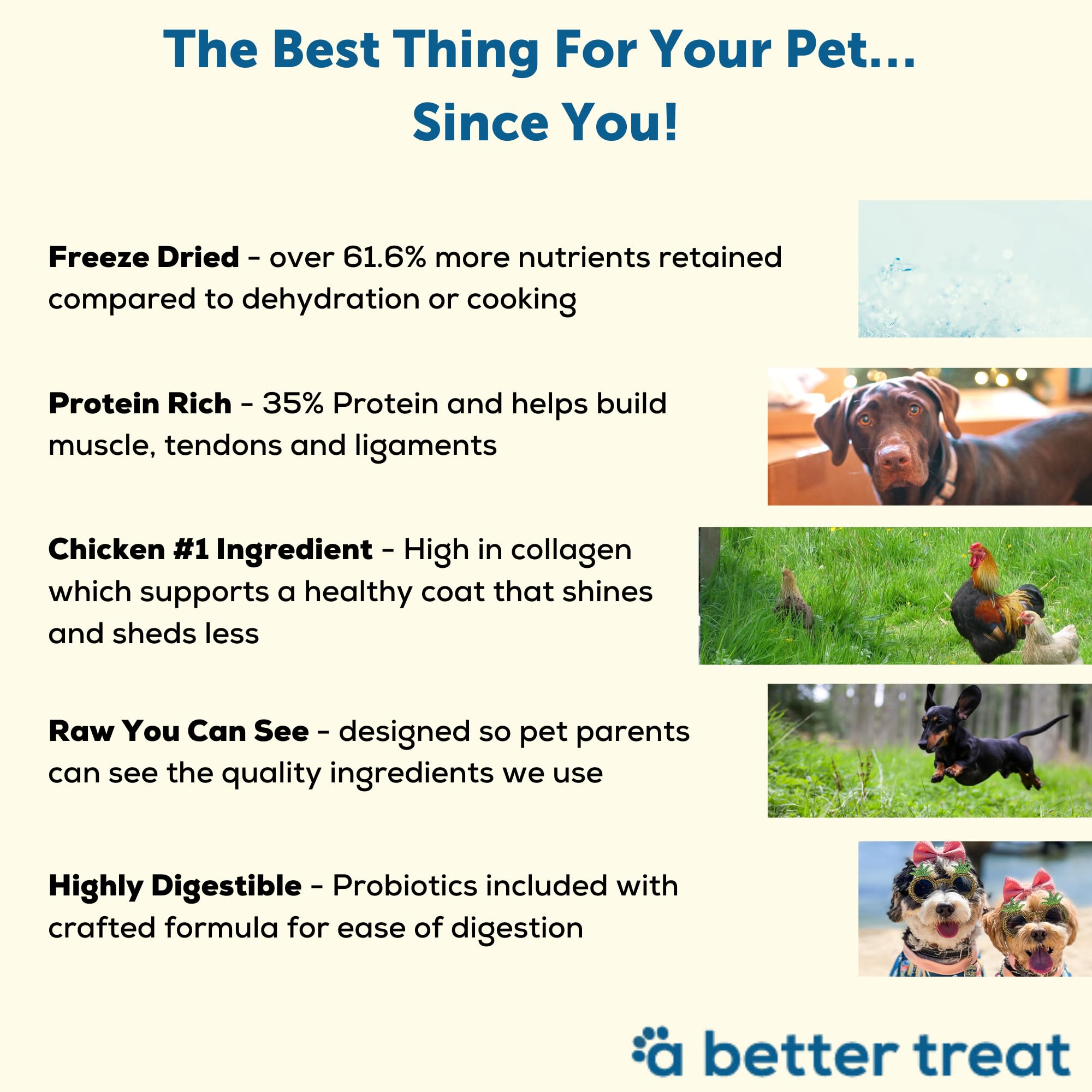 A Better Dog Food | Chicken Dry Dog Food | Raw You Can See | High Protein Kibble + Freeze Dried Raw Dog Food