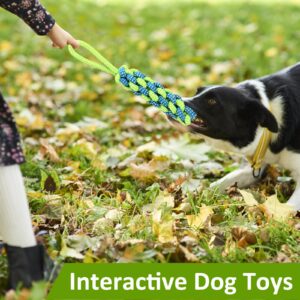 Tree Tugger Dog Toy, Retractable Dog Bungee Tug Toy, Tether Tug Outdoor Dog Toy, Interactive Tether Tug of War Toy with 32.8 ft Rope, Spring Pole Kit, 2 Chew Rope Toys for Pitbull Medium, Large Dog