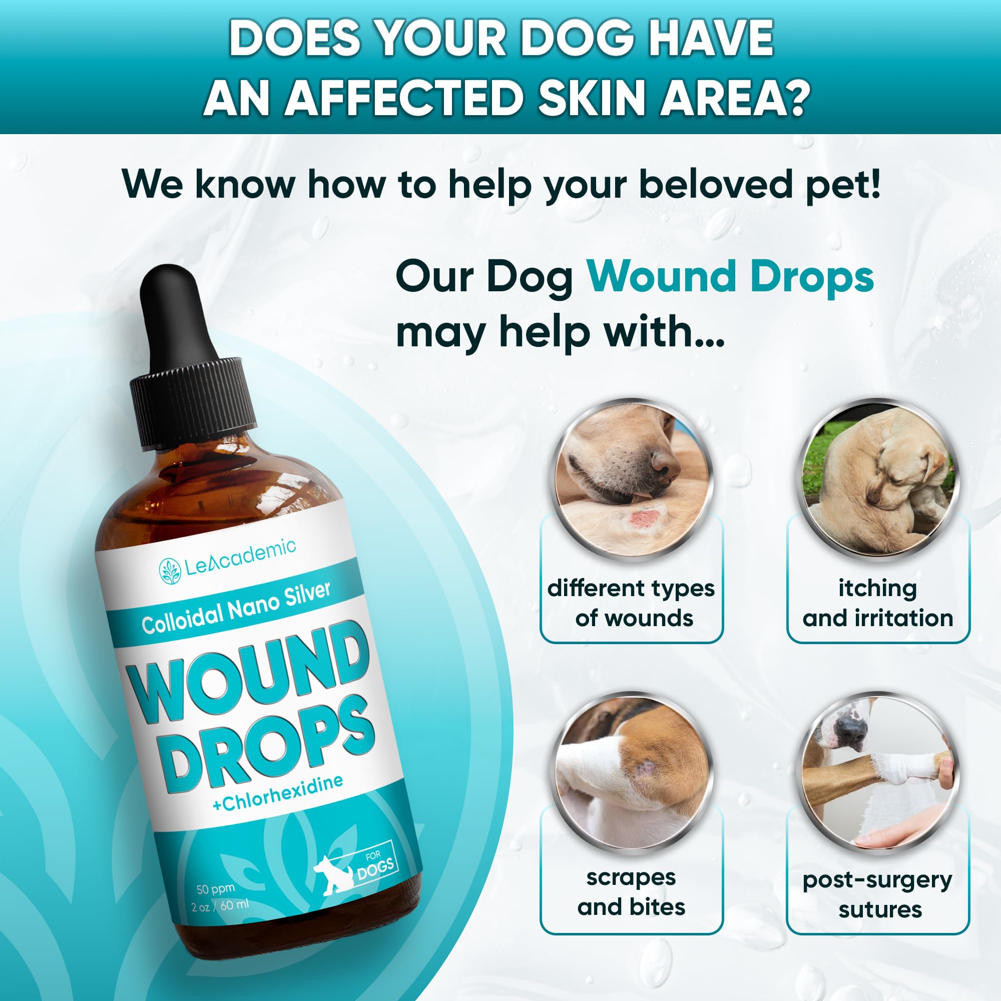 LeAcademic Dog Wound Drops | Drops for Dog Wound Care | Dog Wound Heal | Dog Wound Wash | Dog Wound Cleaner + Chlorhexidine | Wound Wash for Dogs | Colloidal Silver for Dogs | 2 Oz