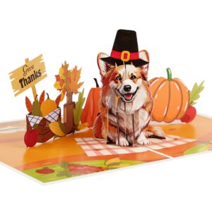 igifts and cards thanksgiving blessings with corgi 3d pop up card - 6x8 greeting card with envelope & notecard, cornucopia of thanks, holiday season, autumn harvest, gratitude gift for dog lovers